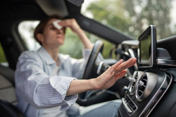 Best Central Air Repair  in Prospect Heights, IL